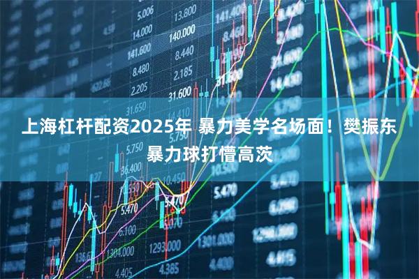 上海杠杆配资2025年 暴力美学名场面！樊振东暴力球打懵高茨